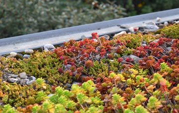 the cost of The Towans green roof installation
