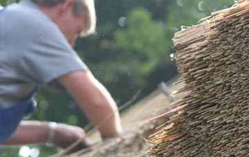 professional The Towans thatchers