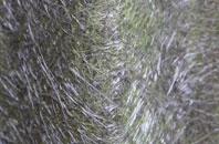 The Towans fibreglass roof work